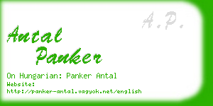 antal panker business card